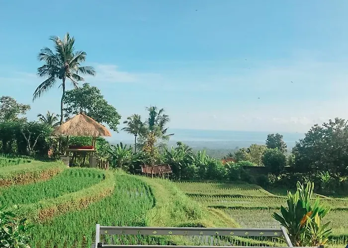 Apsari 2 *