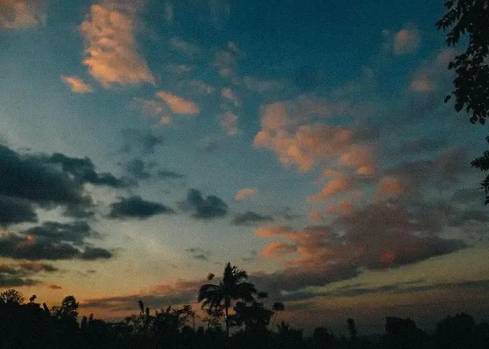 Apsari 2 Singaraja